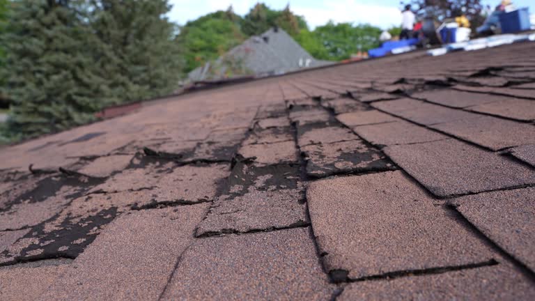 Asphalt Shingles Roofing in Wamego, KS